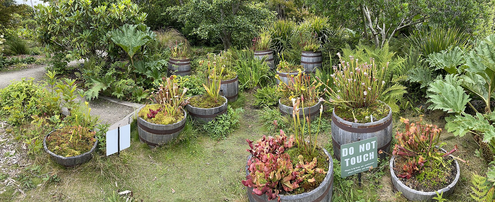 An urgent  'DO NOT TOUCH' sign next to a unassuming plant display at the botanical gardens.